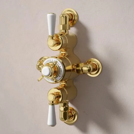 Linton Dual Outlet Semi Exposed Shower with Handheld Shower Hook, 500mm Wall Arm & 8" Rose - White Lever & Ceramics - Living Brass