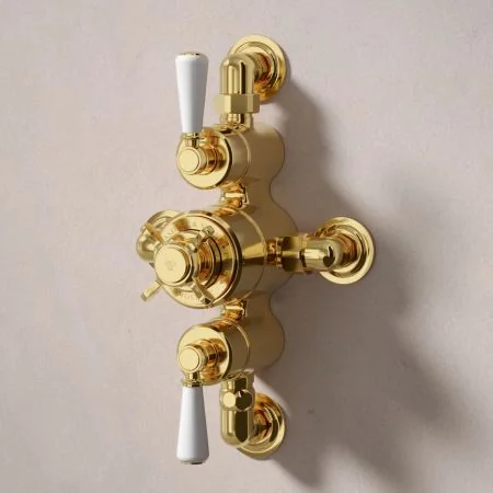 Linton Dual Outlet Semi Exposed Shower with Handheld Shower Hook, 500mm Wall Arm & 6" Rose - White Lever - Living Brass