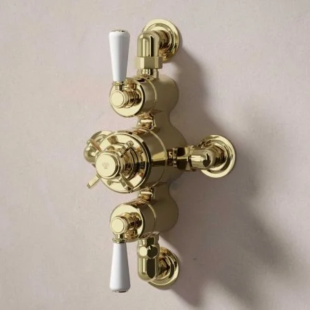 Linton Dual Outlet Semi Exposed Shower with Slider Rail - White Lever