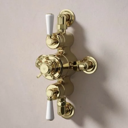 Linton Dual Outlet Semi Exposed Shower with Handheld Shower Hook, 210mm Ceiling Arm & 6" Rose - White Lever - Timeless Brass