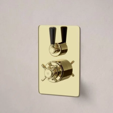 Linton Single Outlet Concealed Shower with 210mm Ceiling Arm & 6" Rose - Black Lever - Timeless Brass