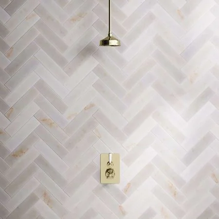 Linton Single Outlet Concealed Shower with 210mm Ceiling Arm & 6" Rose - White Lever - Timeless Brass