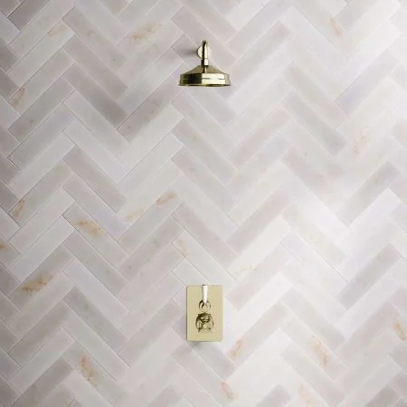 Linton Single Outlet Concealed Shower with 500mm Wall Arm & 8" Rose - White Lever - Timeless Brass