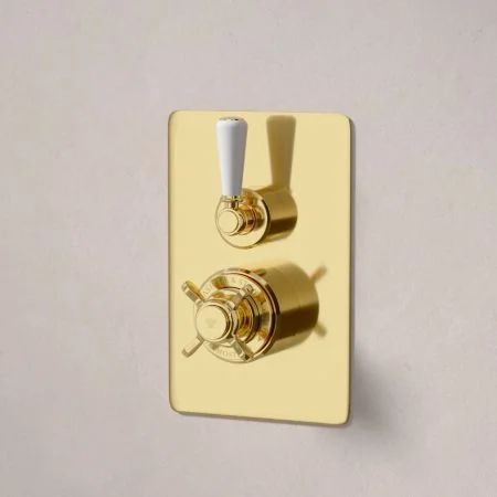 Linton Single Outlet Concealed Shower with 210mm Ceiling Arm & 6" Rose - White Lever - Living Brass