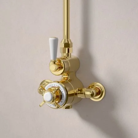 Linton Classic Single Outlet Exposed Shower with 8" Rose - White Lever & Ceramics - Living Brass