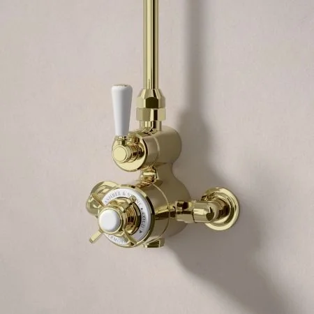 Linton Classic Single Outlet Exposed Shower with 8" Rose - White Lever & Ceramics - Timeless Brass