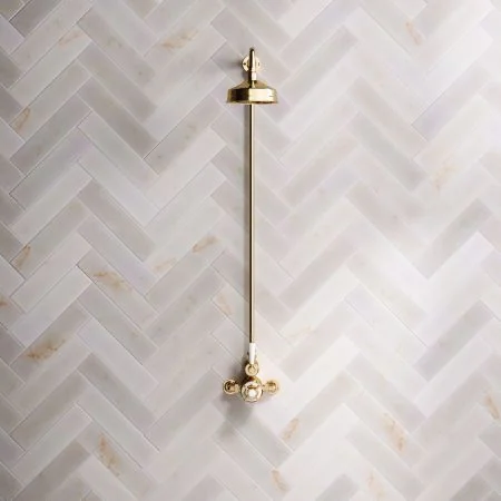 Linton Classic Single Outlet Exposed Shower with 6" Rose & White Levers in Living Brass