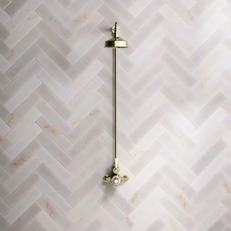 Linton Classic Single Outlet Exposed Shower with 6" Rose & White Levers in Timeless Brass