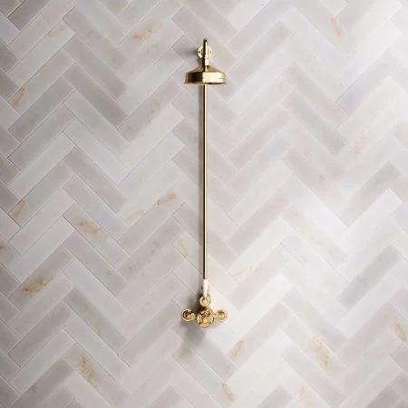 Linton Single Outlet Exposed Shower with 6" Rose & White Levers in Living Brass