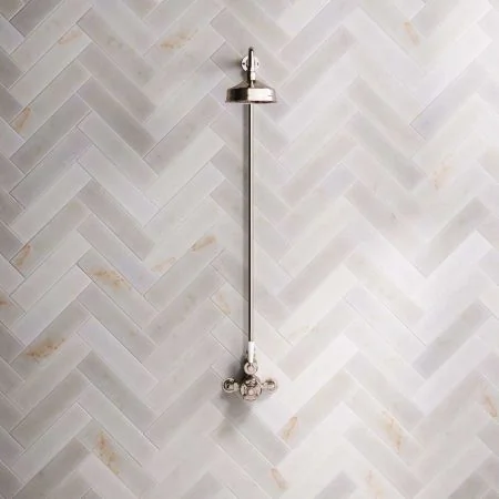 Linton Single Outlet Exposed Shower with 6" Rose & White Levers in Polished Nickel