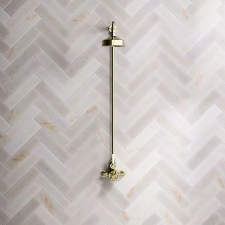 Linton Single Outlet Exposed Shower with 6" Rose & White Levers in Timeless Brass