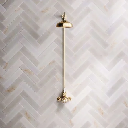 Linton Classic Single Outlet Exposed Shower with 8" Rose & White Levers in Living Brass