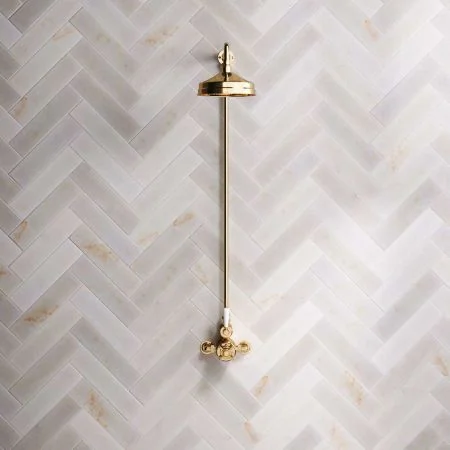 Linton Single Outlet Exposed Shower with 6" Rose & White Levers in Living Brass