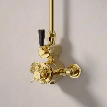 Linton Single Outlet Exposed Shower with 6" Rose - Black Lever - Living Brass