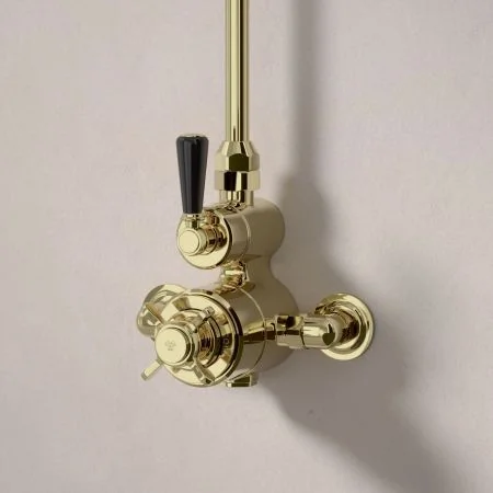 Linton Single Outlet Exposed Shower with 6" Rose - Black Lever - Timeless Brass