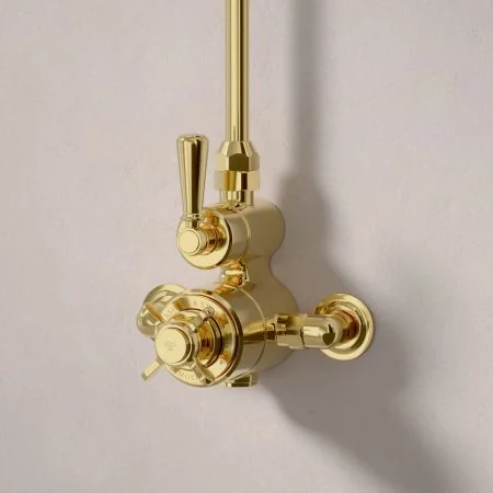 Linton Single Outlet Exposed Shower with 6" Rose - Metal Lever - Living Brass