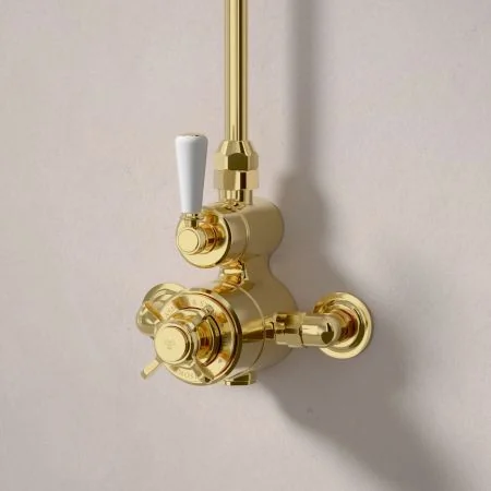 Linton Single Outlet Exposed Shower with 8" Rose - White Lever - Living Brass