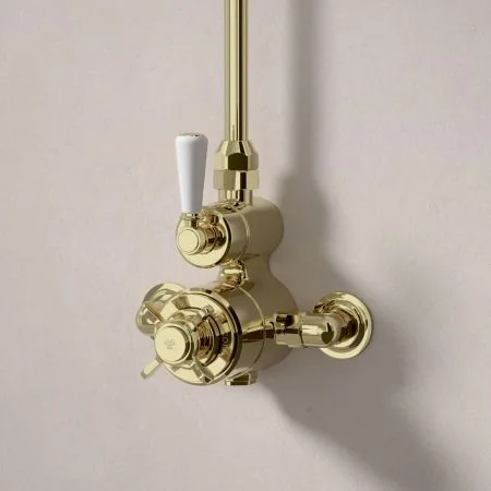 Linton Single Outlet Exposed Shower with 8" Rose - White Lever - Timeless Brass