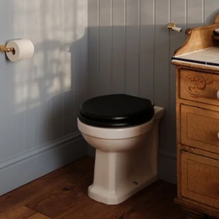 Tamar Back To Wall Toilet with Concealed Cistern & Lever