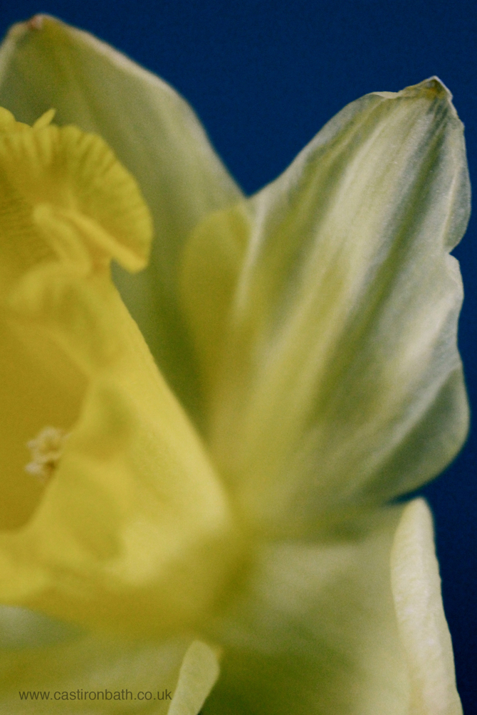 The Cast Iron Bath Company - Spring Bathroom