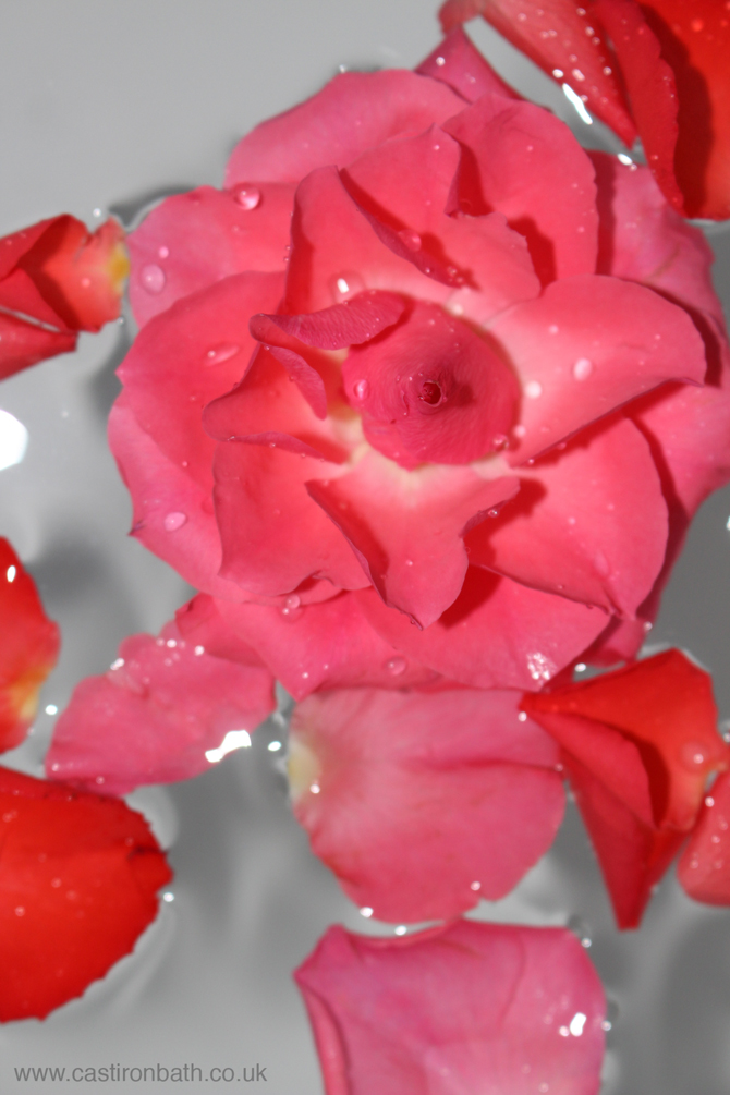 The Cast Iron Bath Company