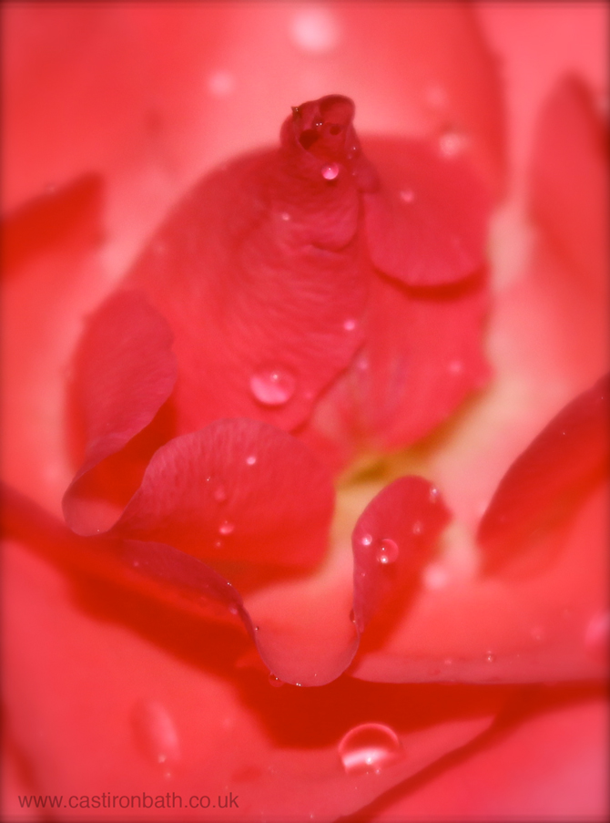 The Cast Iron Bath Company