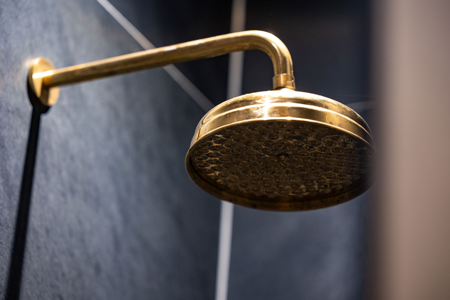 polished-brass-wall-mounted-traditional-shower-rose
