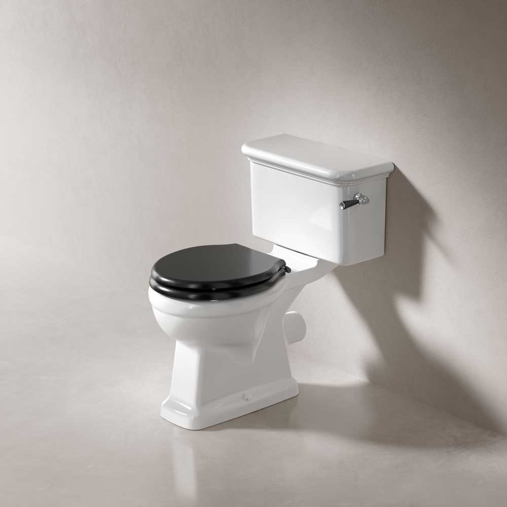 toilet-esk-toilet-cc-angled-0000